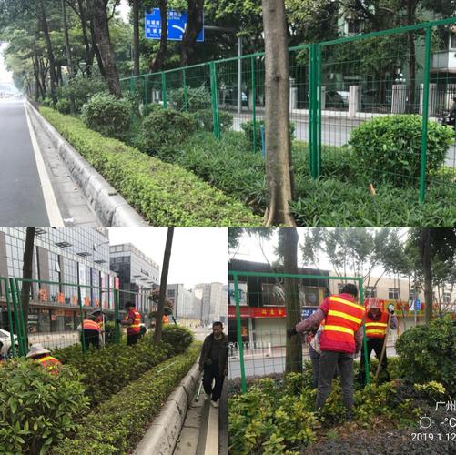白云區(qū)城市管理局關(guān)于道路綠化管理工作的情況周報(bào)（2018年1月7日-2018年1月13日）