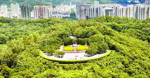 深圳 從“千園之城”到全國(guó)一流綠化城市的典范之路