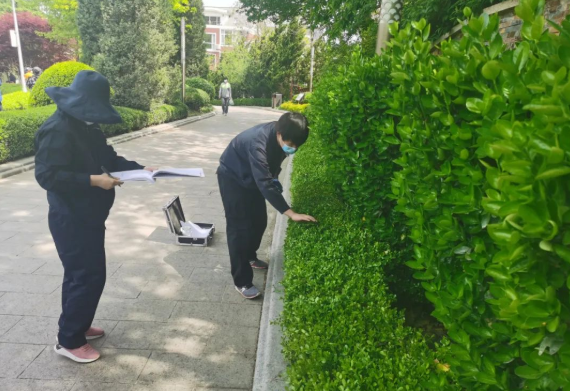 大連首次出臺城市園林綠化三項地方標(biāo)準(zhǔn) 開啟城市綠化管理新篇章