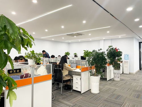 新疆小程序定制開發(fā)公司哪家權(quán)威？四川天健世紀(jì)科技實(shí)力與專業(yè)設(shè)計(jì)服務(wù)解讀